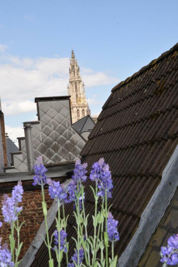 Holiday home Huize Amoras Antwerp